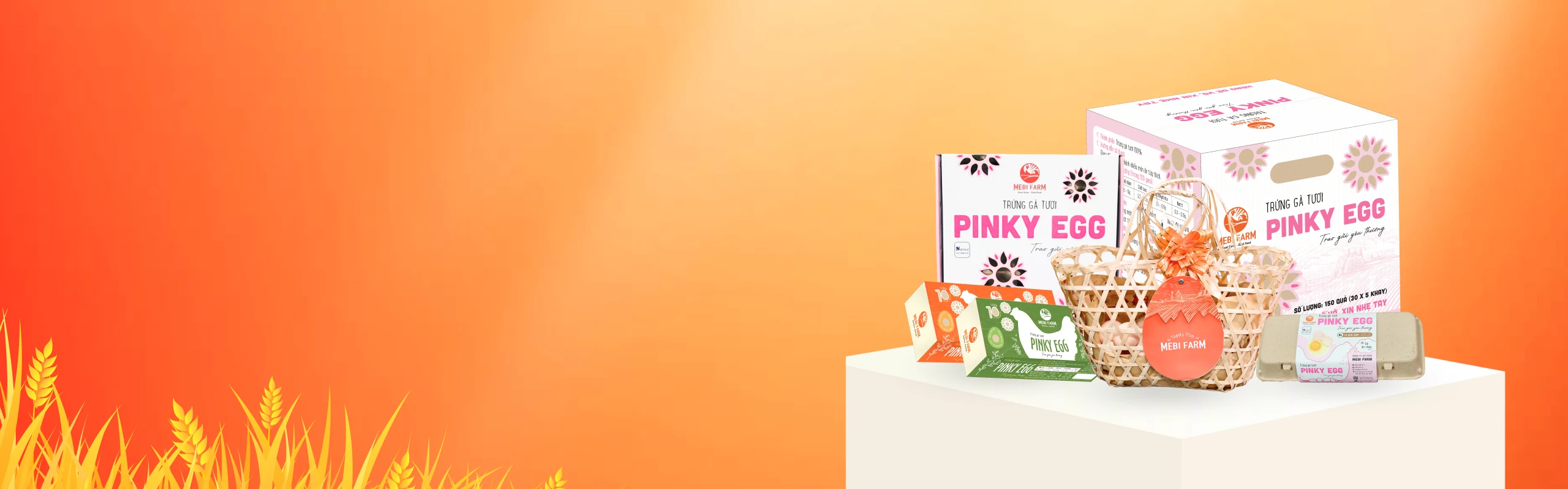 banner-faq