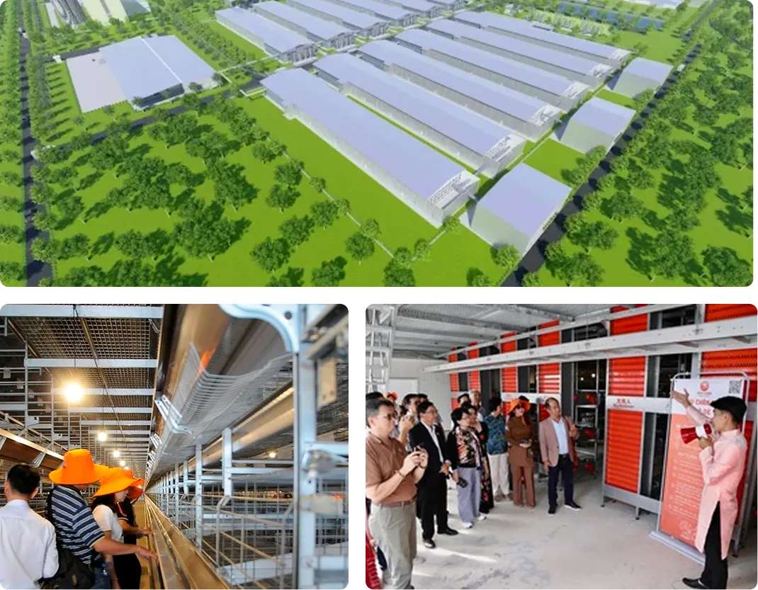 Làm ra thực phẩm sạch là bổn phận của nhà sản xuất - Hình 8