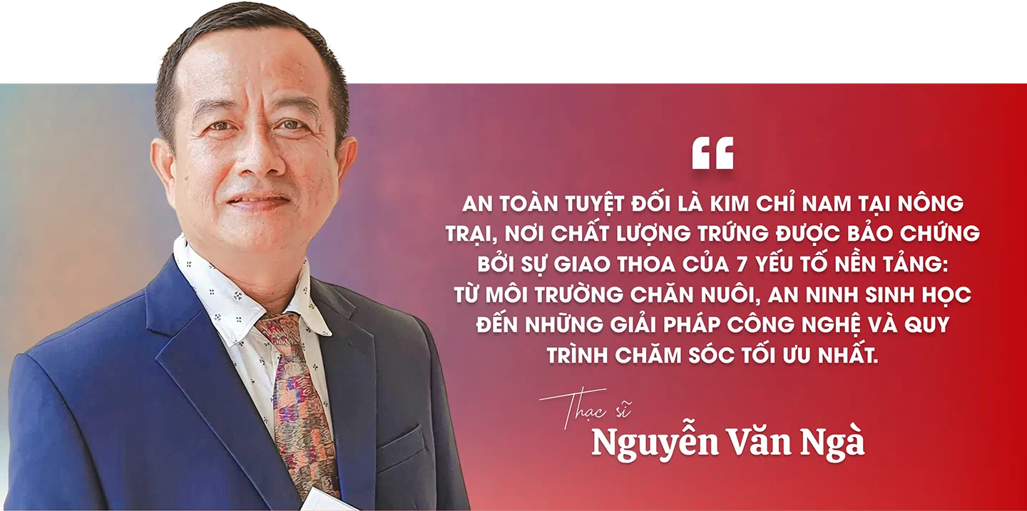 Nơi gà được nghe nhạc, ở máy lạnh ăn thức ăn thuần chay - Hình 6