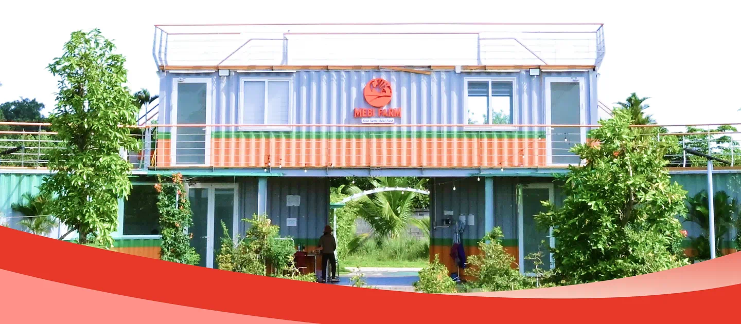 Nơi gà được nghe nhạc, ở máy lạnh ăn thức ăn thuần chay - Hình 8