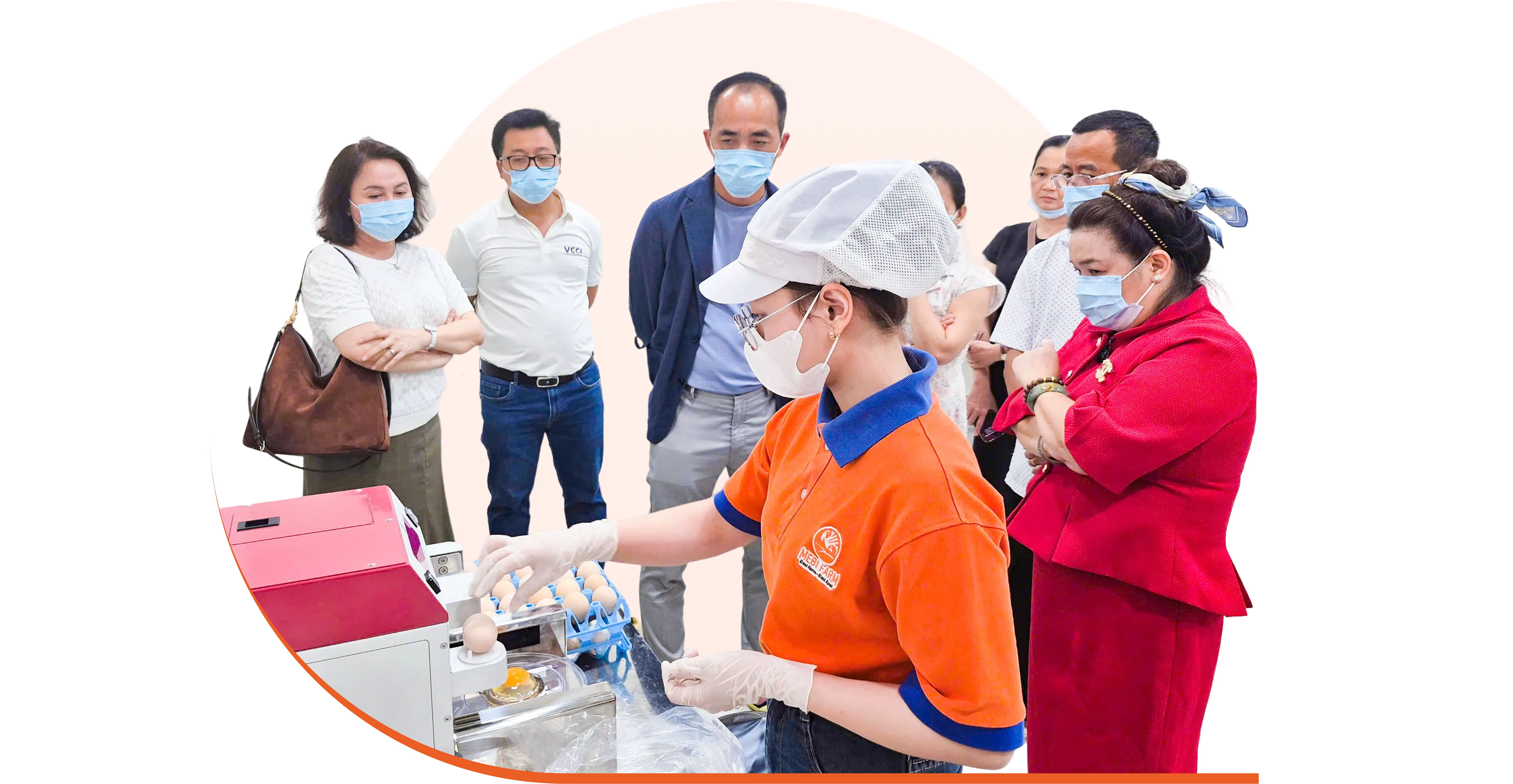 VCCI Đồng Bằng Sông Cửu Long Thăm Và Làm Việc Tại Mebi Farm - Hình 3