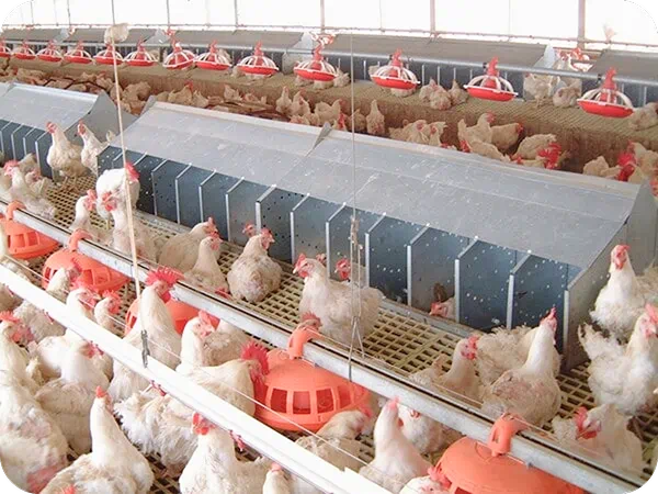 Mebi Farm