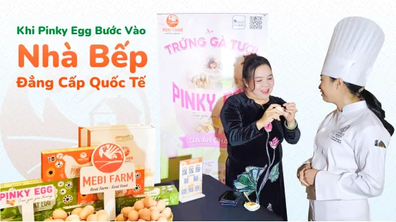 Mebi Farm Bắt Tay San Hà, Đưa Trứng Pinky Egg Vào Hệ Thống Bán Lẻ
